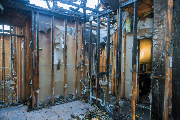 Professional Smoke Odor Removal technician working in Pineville, KY